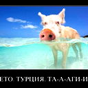 Александр Чернышов