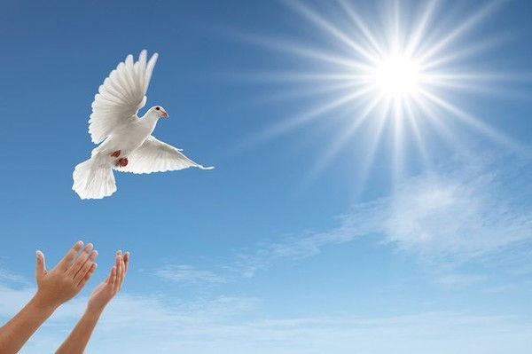 Дастан Абытов