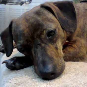 Сергей Федунов