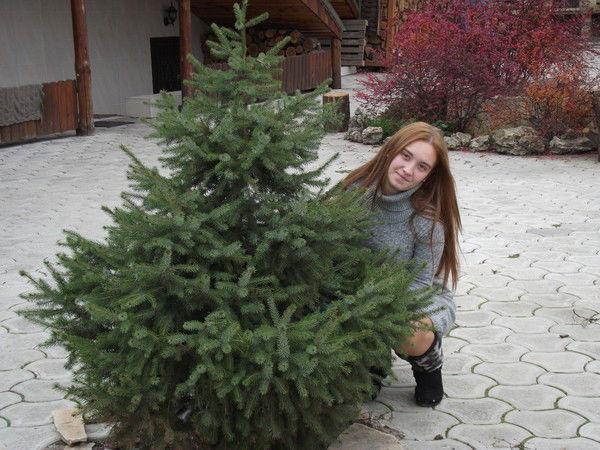 Света Коновалова