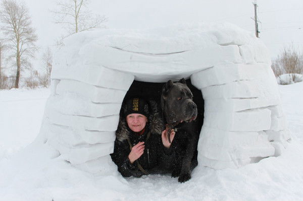 Марина Карпушина