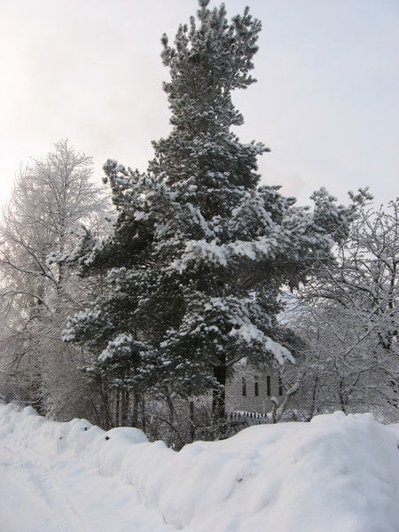 Вика Беляева