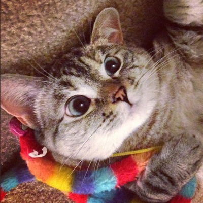 Тёма Миллер