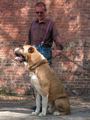 Эдуард Ахидов