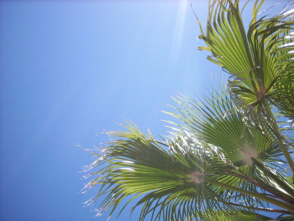 Алена Кузьмина