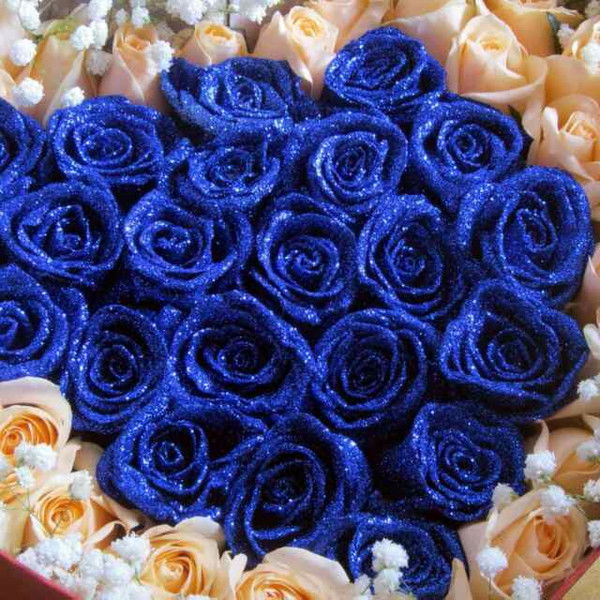 Тами Бериева