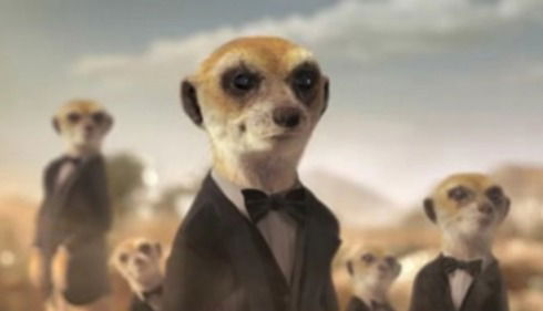 Александр Шачнев