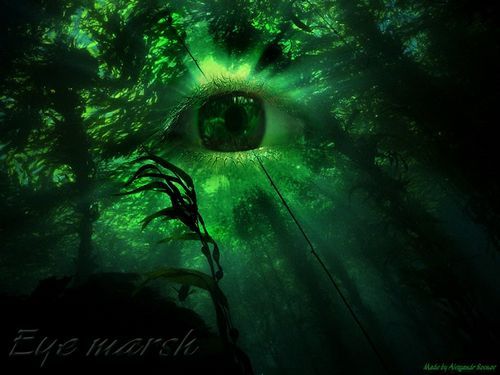 Мститель Народный