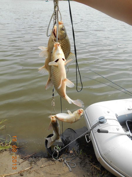 Анна Кандалова