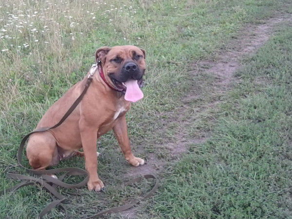 Валентина Королева