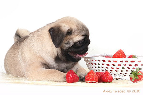 Елена Немова