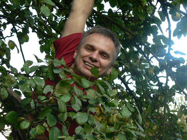 Юрий Тихомиров