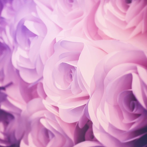 Ольга Вяткина