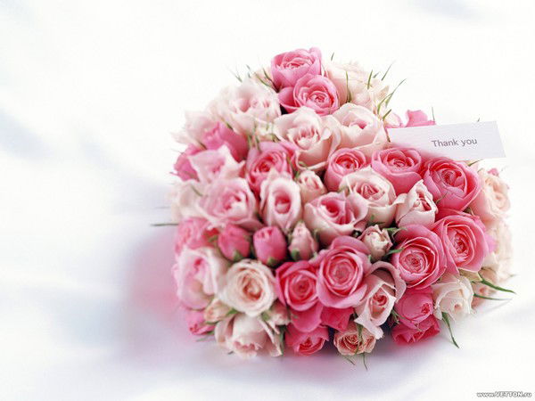 Анастасия Сухоедова