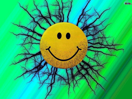 Лёля Olimekc@mail.ru