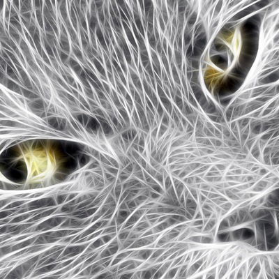 Елена Шутова