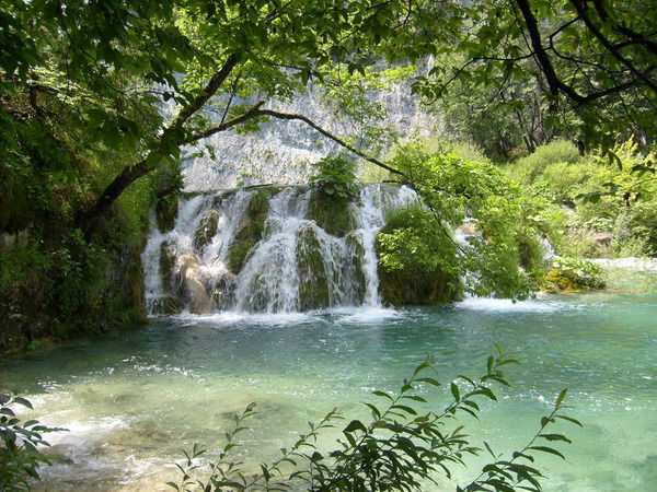 Солнышко Летнее