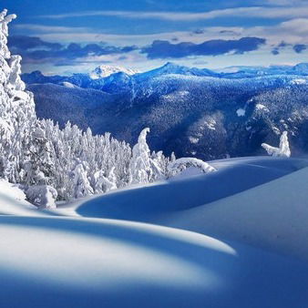 Ирина Комар