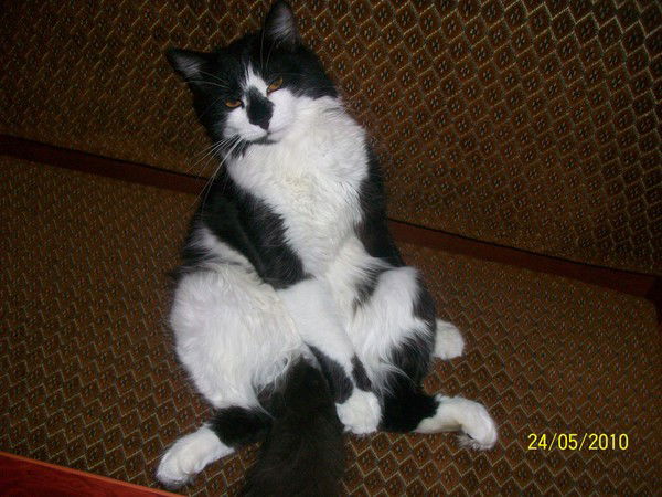 Виктор Слободян