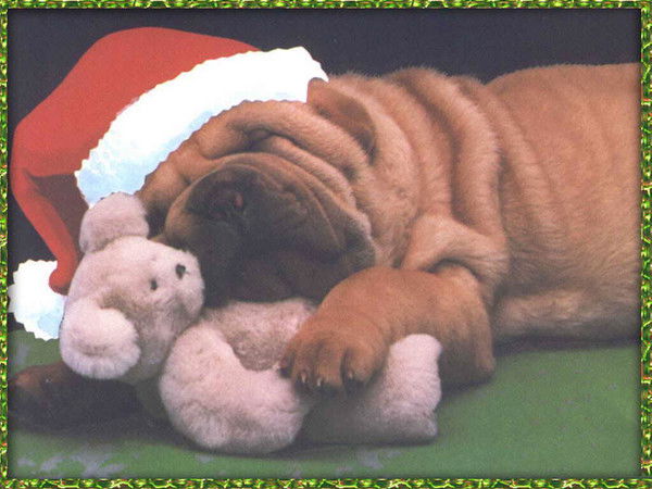 Марат Джаксыбеков