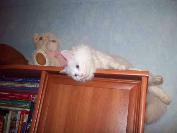 Наталья Константинова