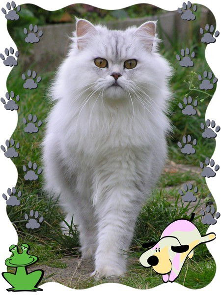 Cамая Лучшая