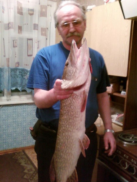 Евгений Алипов