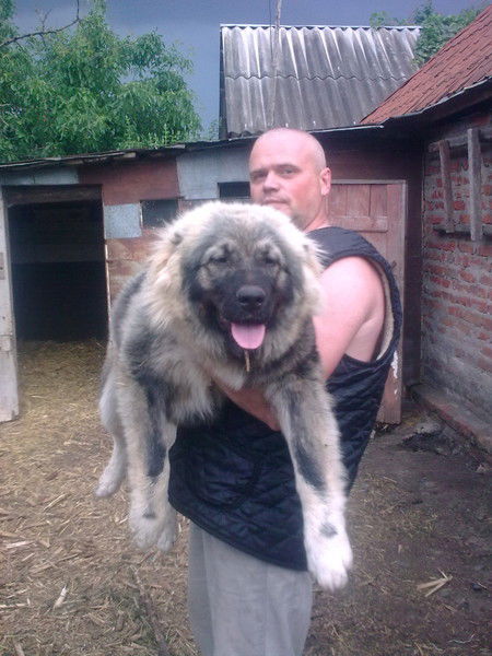 Валерий Гурьев