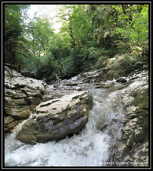 Ирина Осипенко