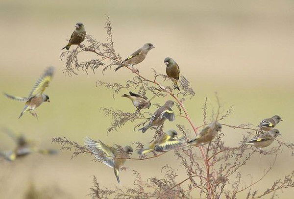 Любовь Кузьмина