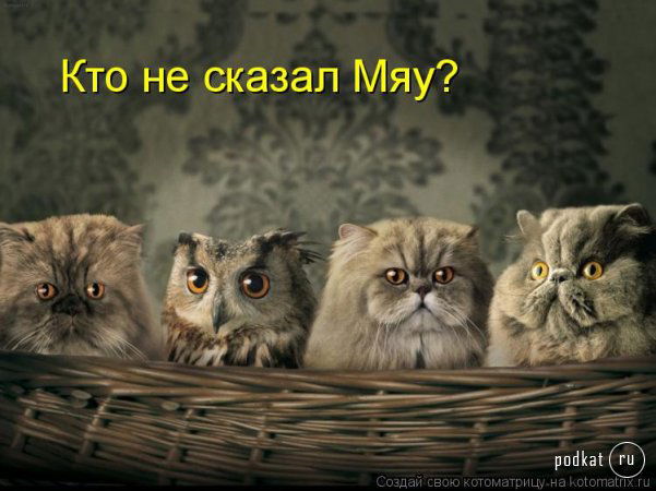 _-___-_____-_ _-__-____