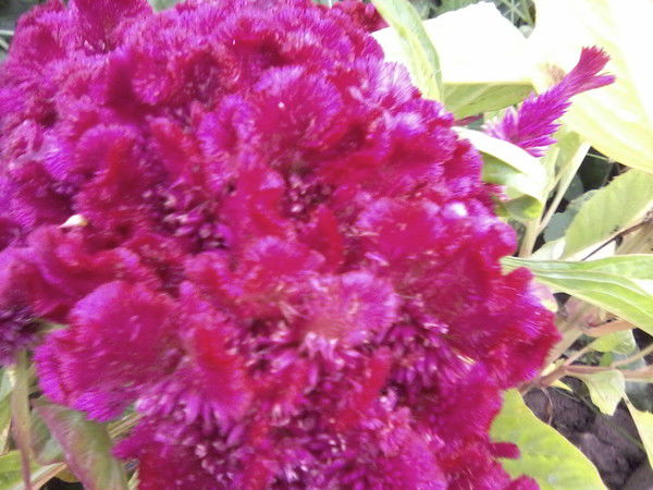 Людмила Мильшина