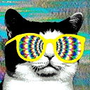 Александр Федоренко