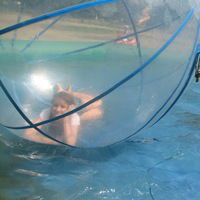 Милана Волкова