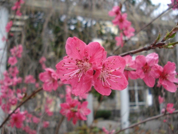 Валентина М