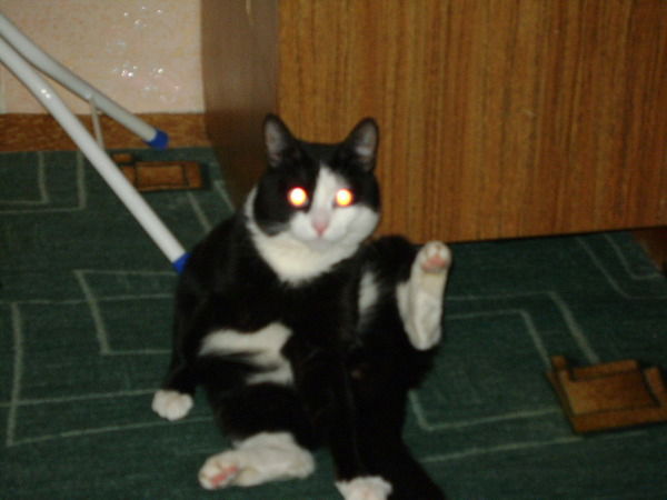 Руслан Шарапов