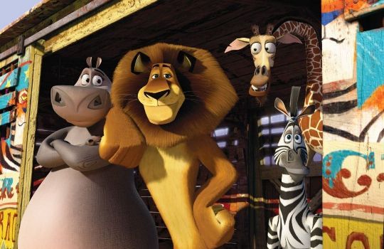 Дамир Сакуров