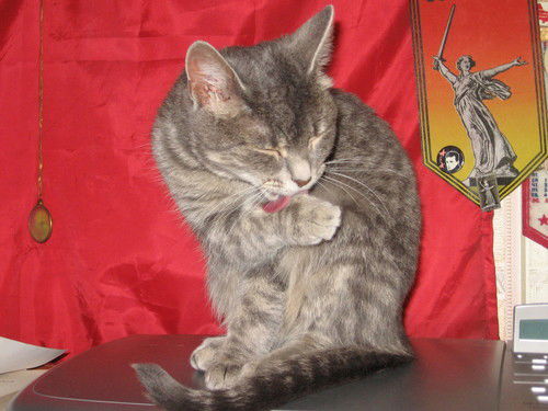 Маргарита Жукова