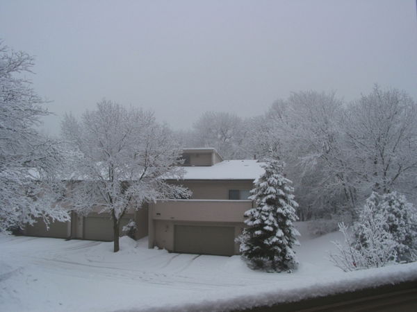 Арбуз Арбуз