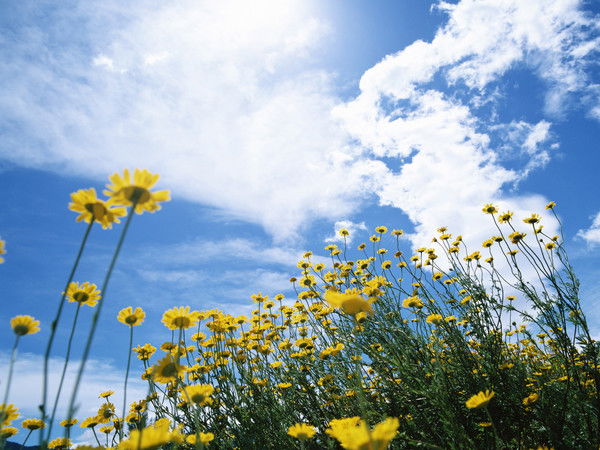 Лекеров Бакыт