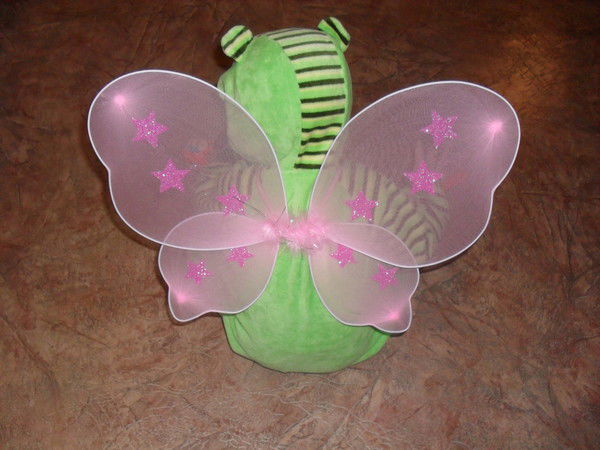 Лейсан Шмагина