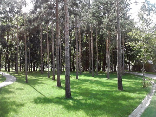 Сарсен Бестембеков