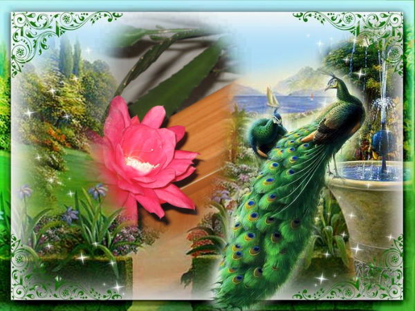 Наталья Беляева