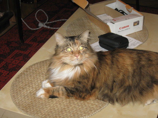 Захар Каймарасов