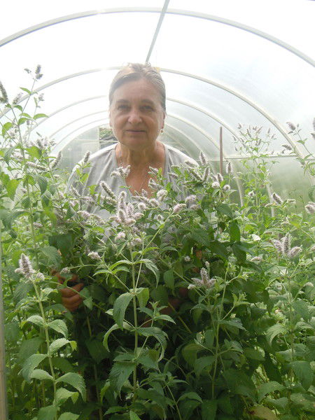 Татьяна Малахова