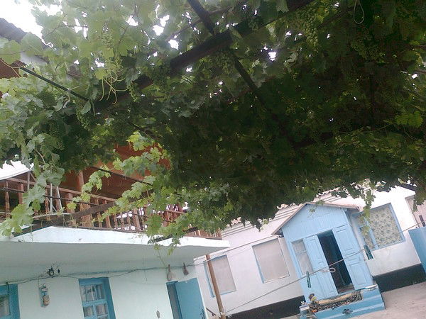 Акжол Байтуяков