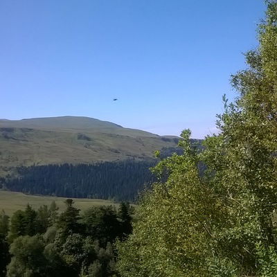 Екатерина Рыбалко