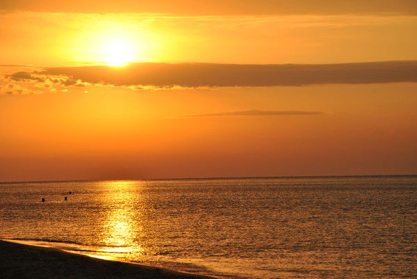 Елена Сеферян