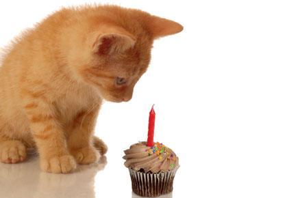 Евдокимова Наталья