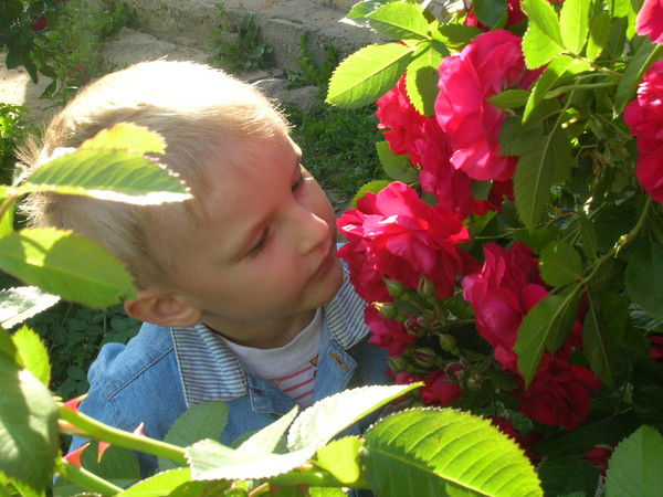 Вадим Ефимов